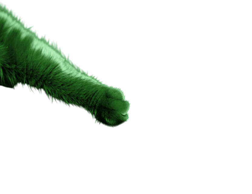 Привычное ощущение