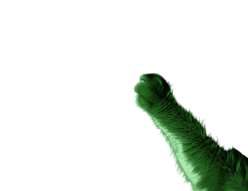 Пограничный интеллект